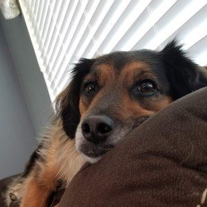 Meet your Posher, Leanne